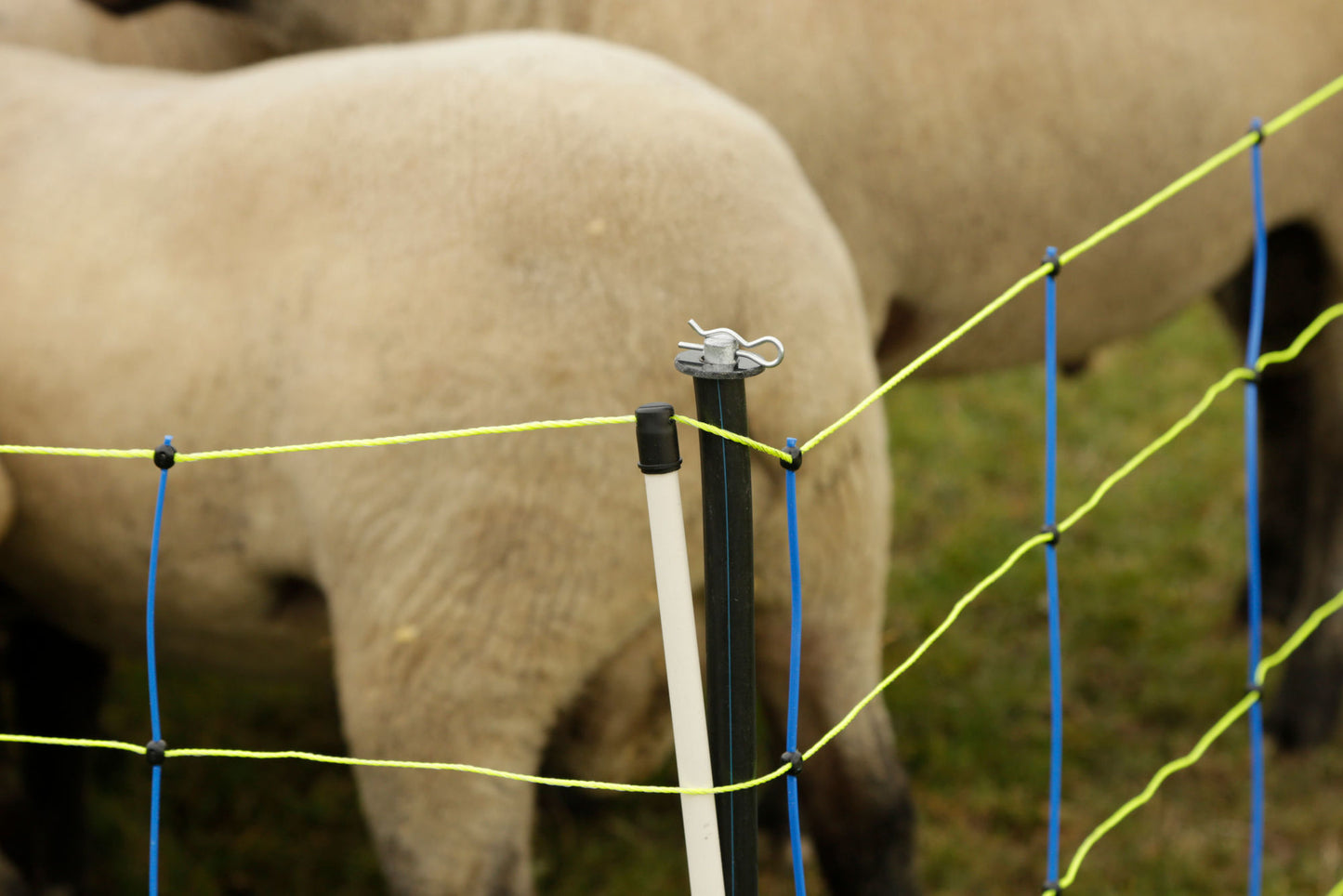 Piquet support pour filets de clôtures x4