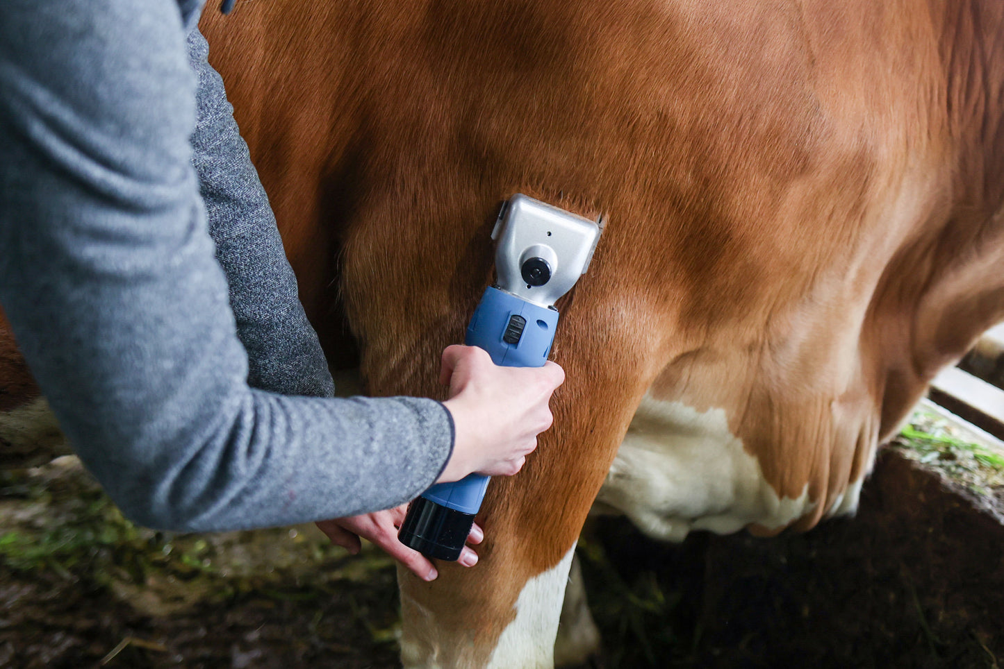 Tondeuse sur batterie FarmClipper Akku2