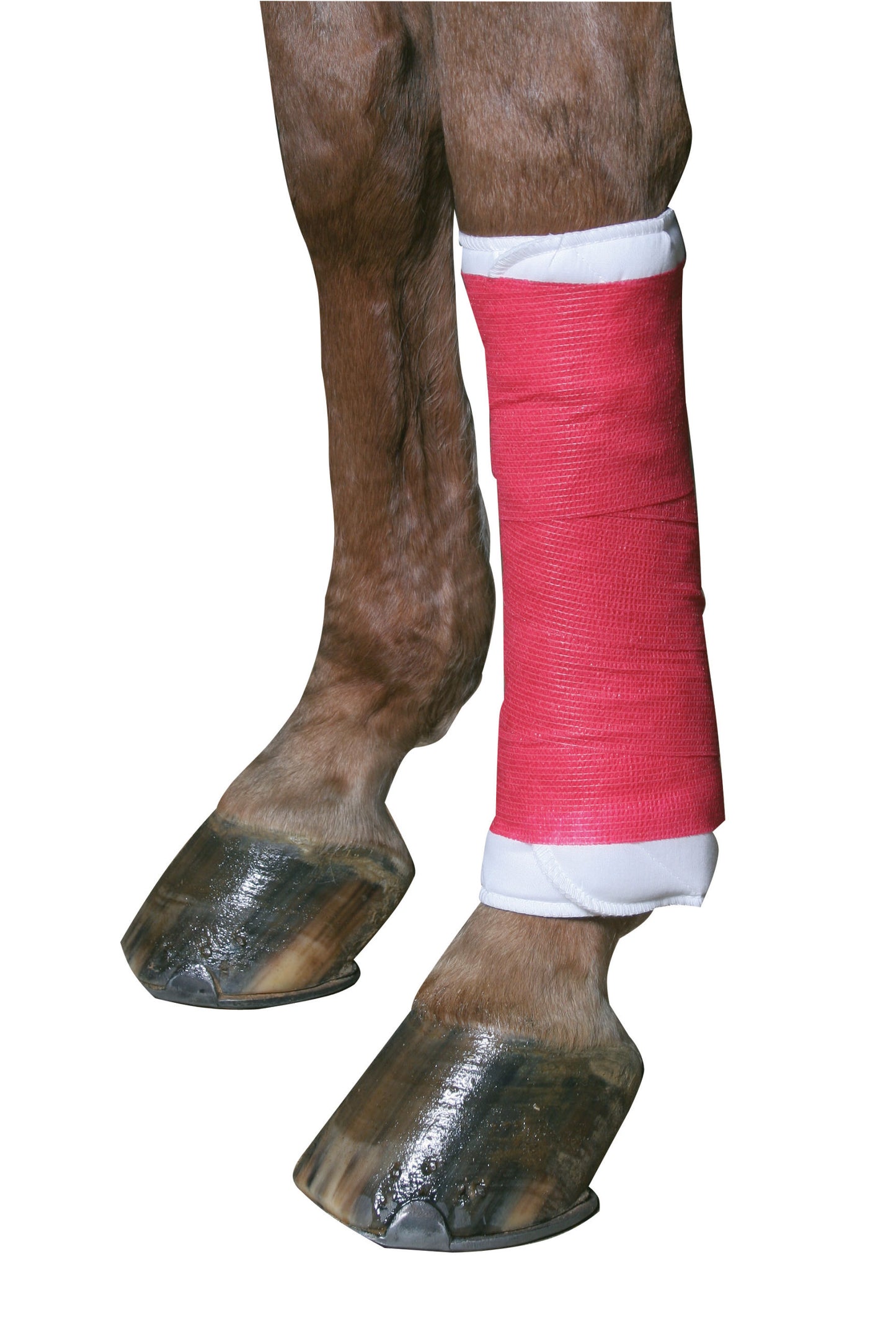 Bandage auto-adhésif EquiLastic