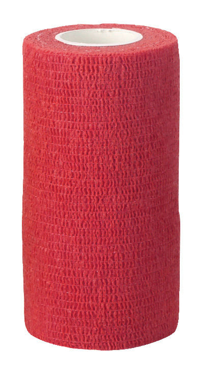 Bandage auto-adhésif EquiLastic