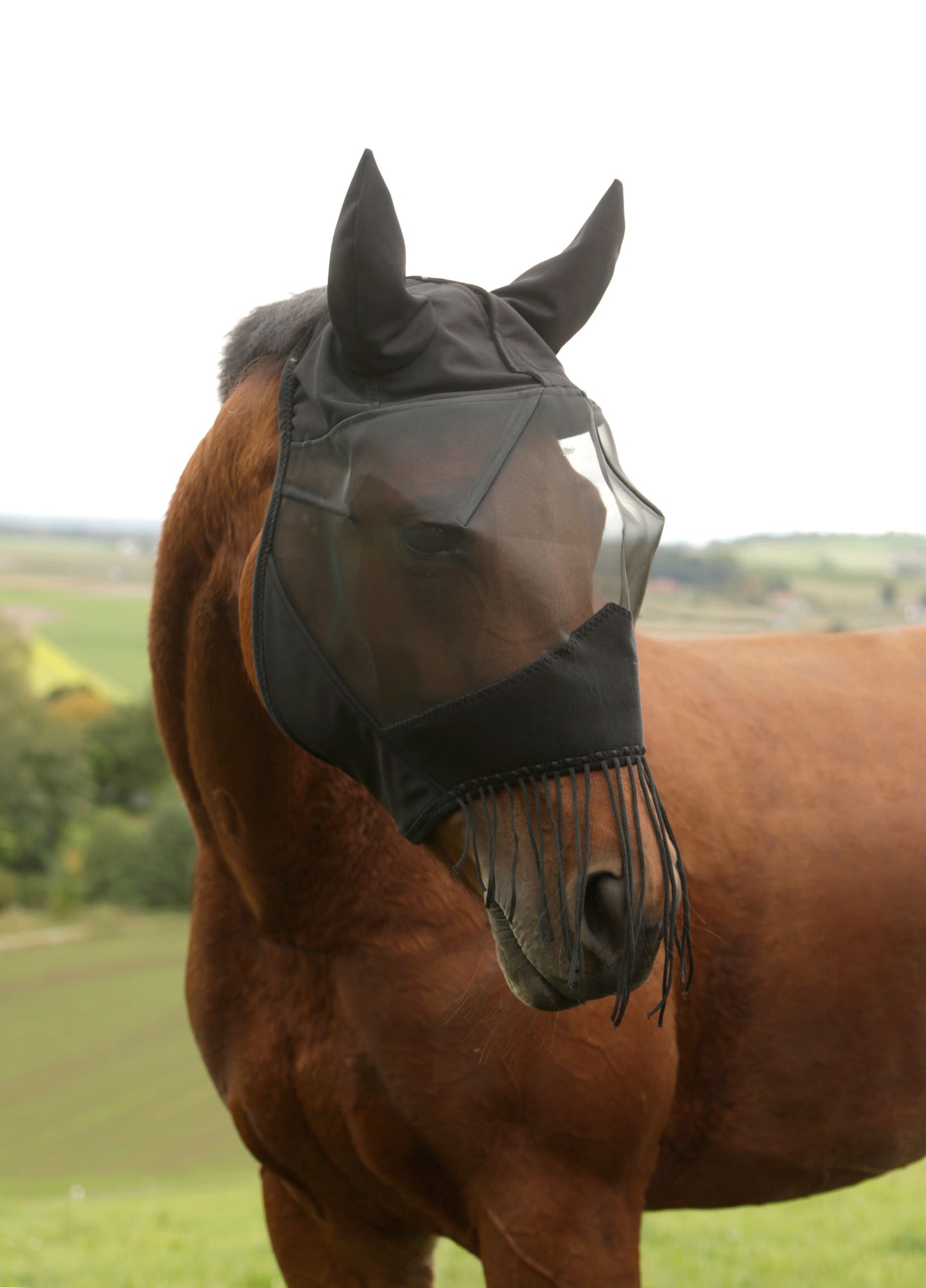 Masque anti-mouches avec frange pour les naseaux