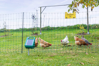 Kit Solar PoultryNet All-In-One