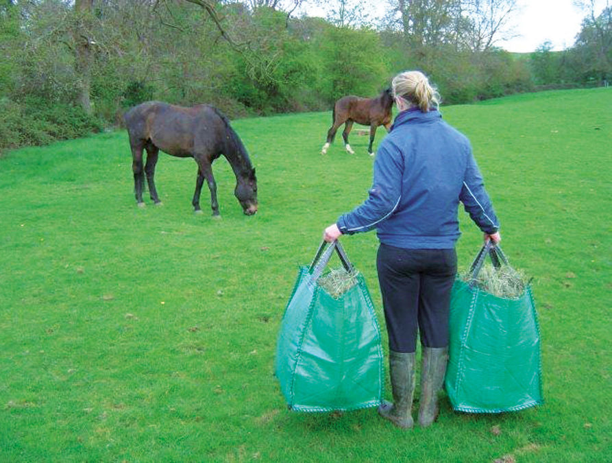 Sac de transport GoBag